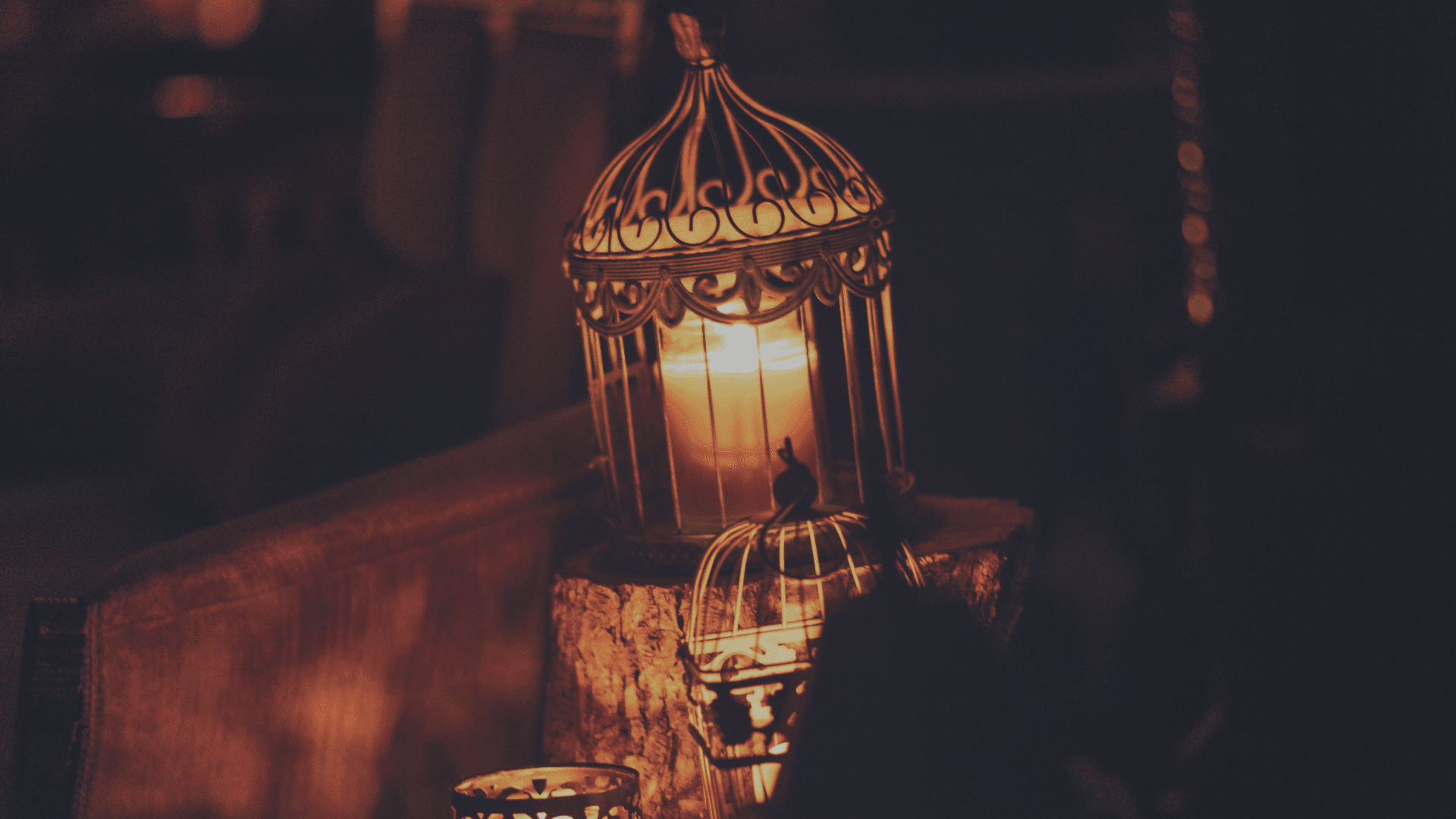 3 reasons to take Nomo with you for your Eid trip!